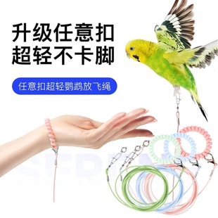 专用鹦鹉牵引绳放飞绳弹力不伤脚外出训练绳虎皮玄凤牡丹脚环脚链