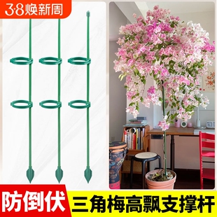 三角梅高飘支撑杆爬藤架花架固定器龟背竹绿植物防倒伏花卉支撑架