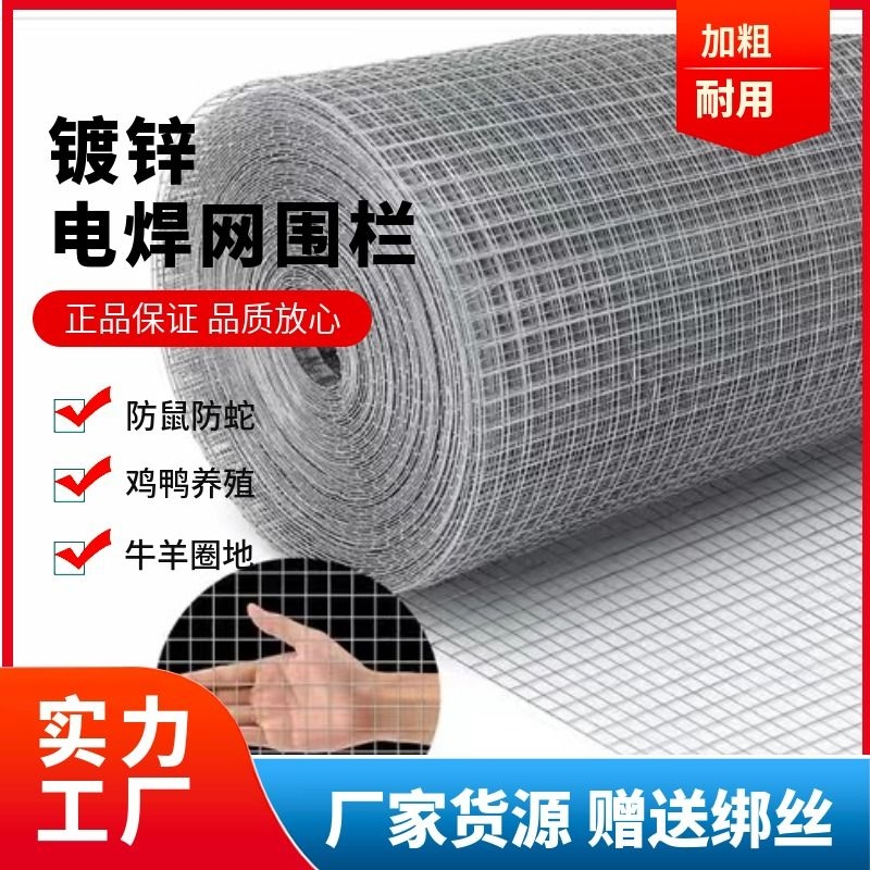 镀锌铁丝网鸽笼网鹌鹑笼电焊网