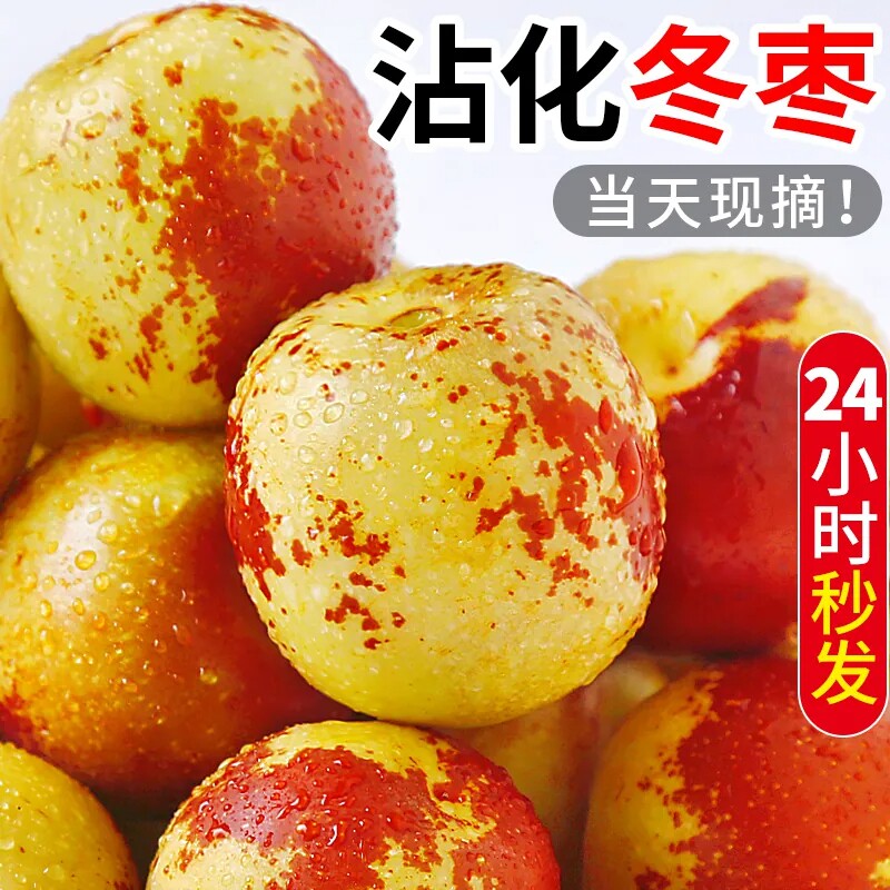 山东沾化脆甜冬枣发货当季新鲜采摘香甜多汁清爽商超品质现摘现发