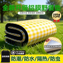 野餐垫便携加厚户外露营地垫春游坐垫防水草坪垫子铝膜防潮垫