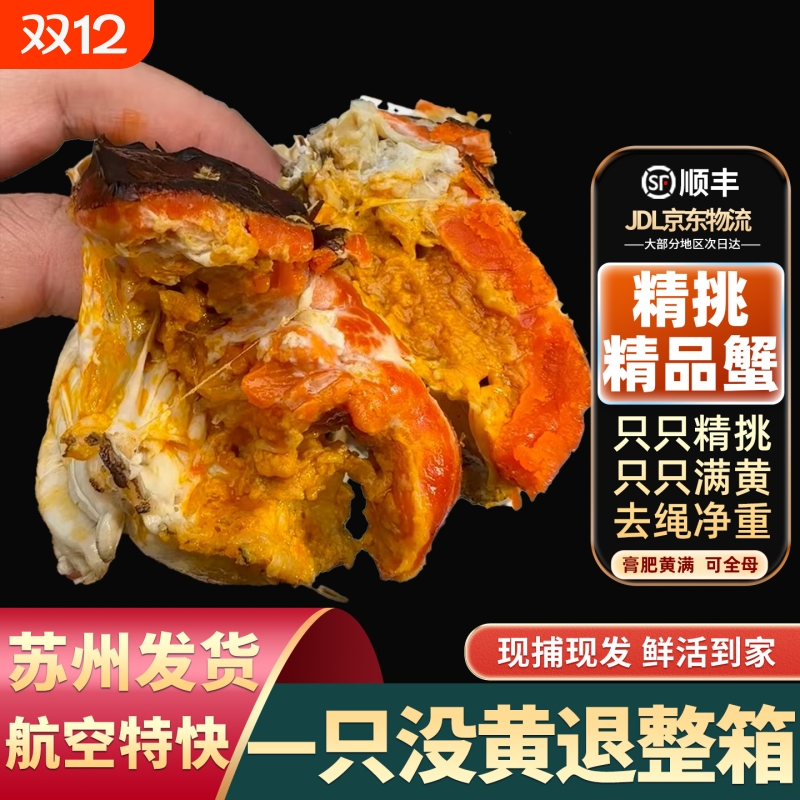 【精挑只只满黄】精品大闸蟹鲜活螃蟹全母公超特大河蟹礼盒苏州发