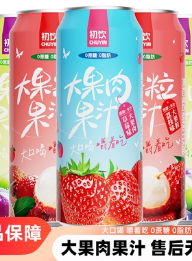 初饮果粒果汁饮料整箱500g大罐00荔枝葡萄汁果味果肉饮品草莓罐装