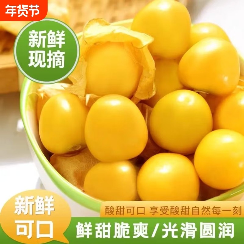 新鲜黄姑娘果 云南现摘水果云南菇娘果灯笼果姑娘果甜1件包邮,水产肉类/新鲜蔬果/熟食,其它,淘宝优惠券,粉丝福利购,淘宝优惠卷