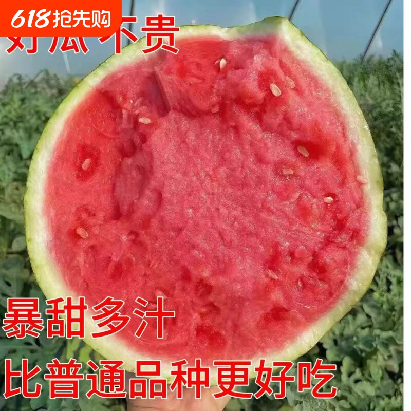 新鲜头茬西瓜无籽有籽现摘现发西瓜一整箱老人孕妇水果