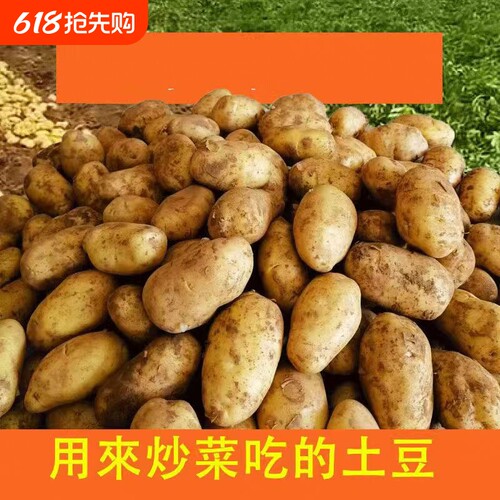 新鲜黄心黄皮土豆贵州今年新土豆新鲜包邮农家现挖食用