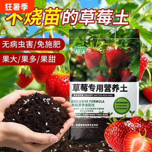 种草莓专用土营养土阳台草莓肥料专用肥盆栽草莓苗土壤泥土种植土