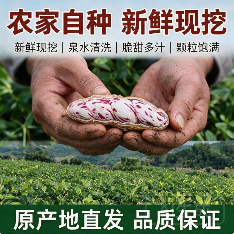 云南七彩花生新鲜现挖湿花生奶油花生牛奶水果花生五彩花生脆甜