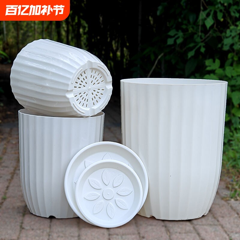 竖纹大花盆轻奢高级感家用室内高筒简约透气花卉天堂鸟盆栽仿陶瓷