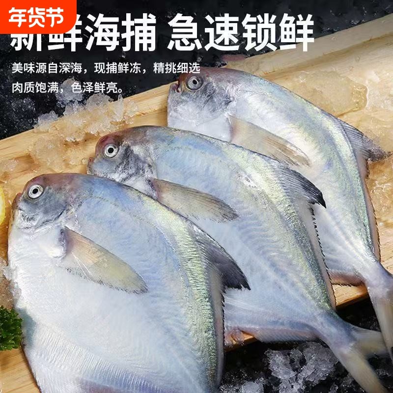 新鲜小银鲳鱼新鲜海鲜水产深海银鲳鱼昌鱼冷冻白鲳鱼平鱼鳊鱼包邮,水产肉类/新鲜蔬果/熟食,鲳鱼,淘宝优惠券,粉丝福利购,淘宝优惠卷