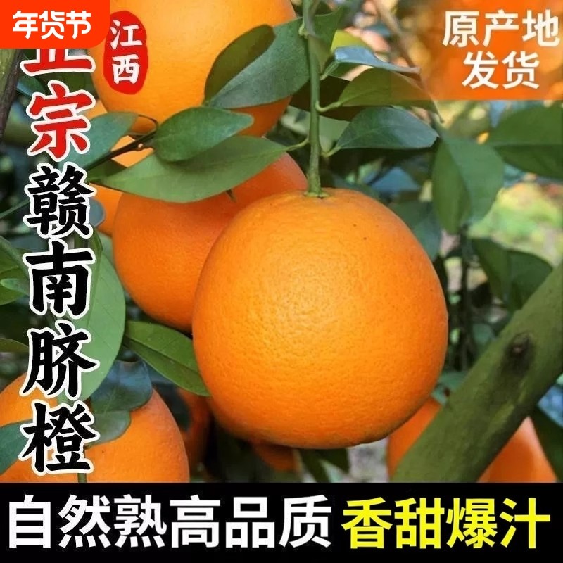 江西赣南脐甜橙子5斤/10斤大果赣州新鲜当季水果直发产地斤榨汁