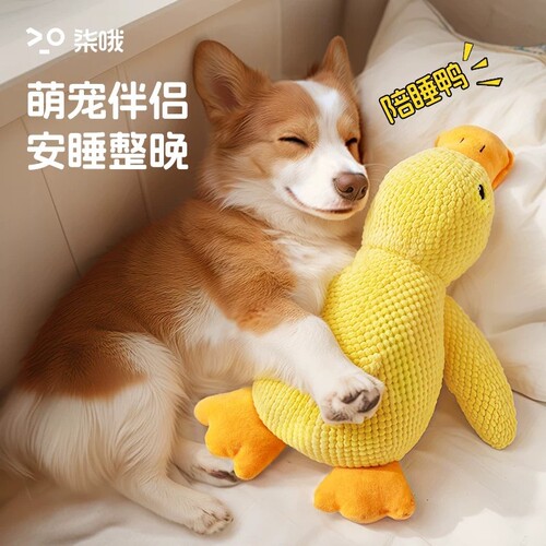 狗狗人手一只的大黄鸭玩具来了！