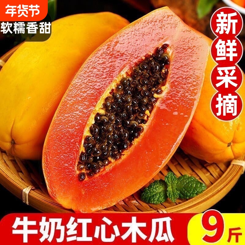 广西牛奶冰糖红心木瓜9斤装新鲜直发当季水果5斤树上熟大果好吃的