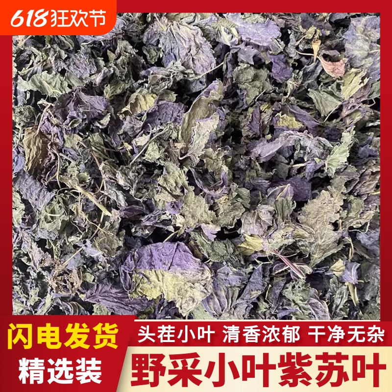 紫苏叶中药材500g包邮自然晒干无硫野生小叶紫苏新鲜干货泡水泡茶