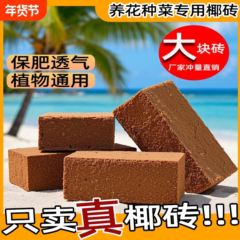 椰砖土进口通用型营养脱盐椰砖盆栽种植专用土壤种菜种花椰壳园艺