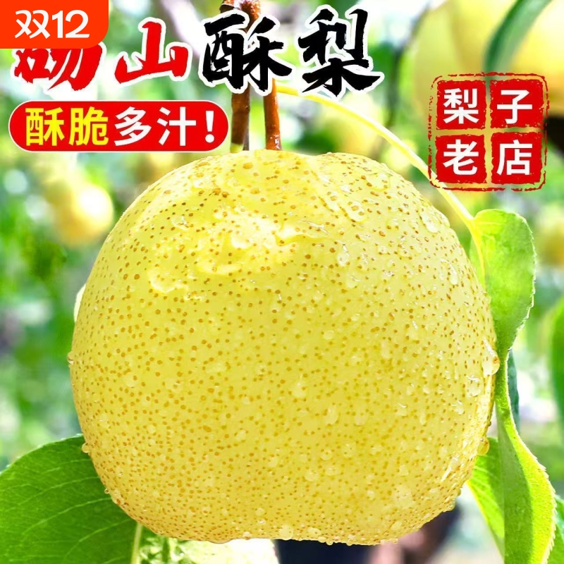 砀山酥梨10斤整箱|191人收藏
