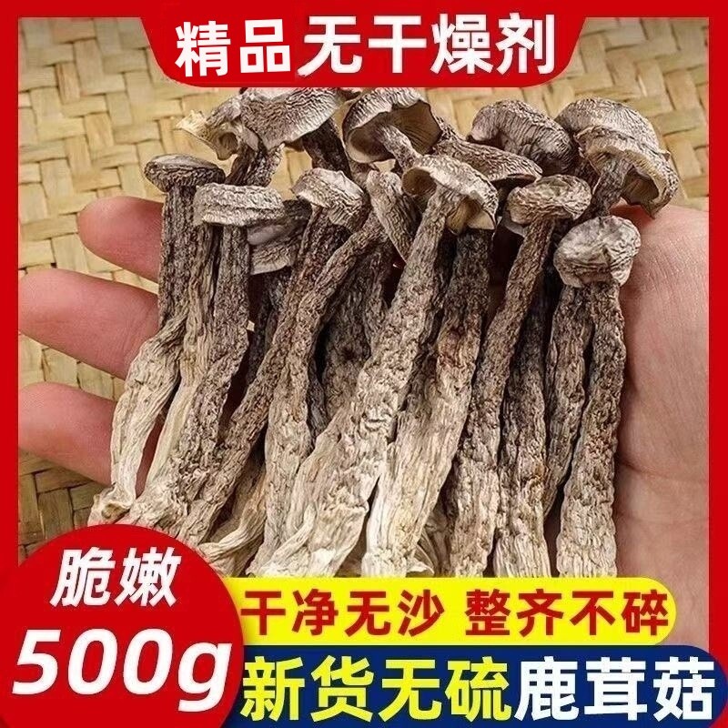 鹿茸菇干货新货特产鹿茸菌菇无干燥剂批发虫草煲汤菌类炖汤香菇
