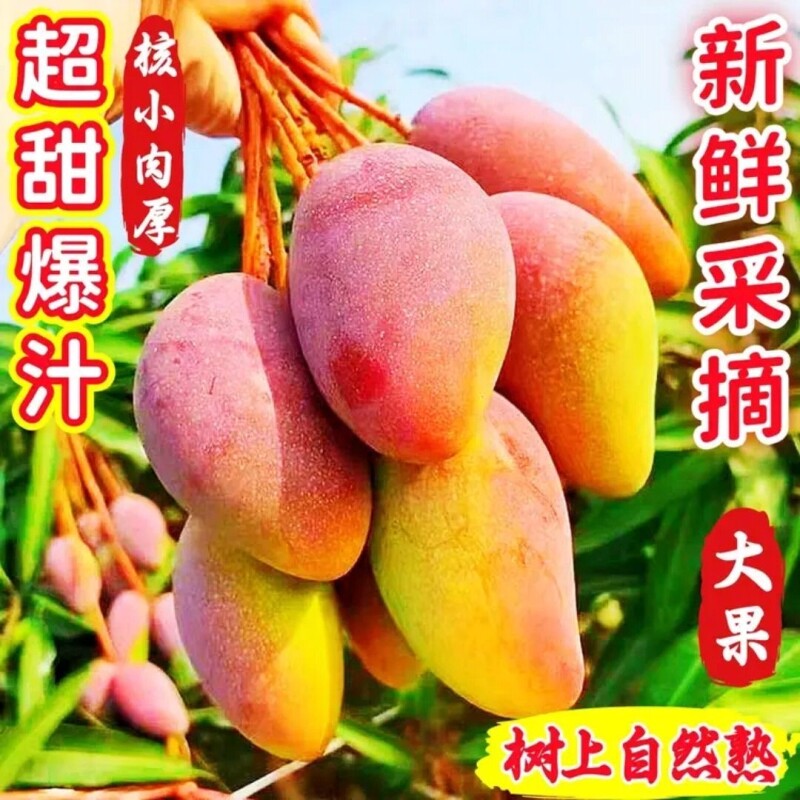 海南贵妃芒4.5斤装新鲜芒果包邮现摘现发当季热带水果核小鲜果