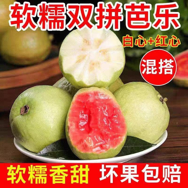 软糯软心芭乐红心番石榴白心双拼现摘现发新鲜当季水果鸡屎果