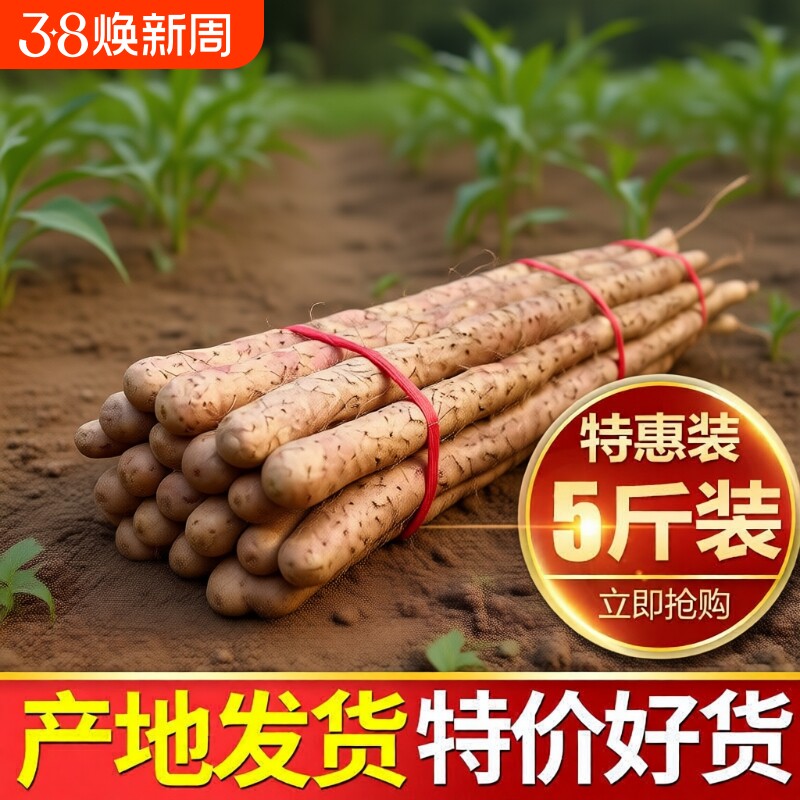 铁棍山药新鲜淮山药铁杆山药小白嘴现挖山药5斤非温县垆土怀山药