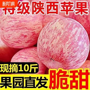 脆甜多汁正宗红富士苹果新鲜水果孕妇冰糖心苹果整箱批发 爆甜