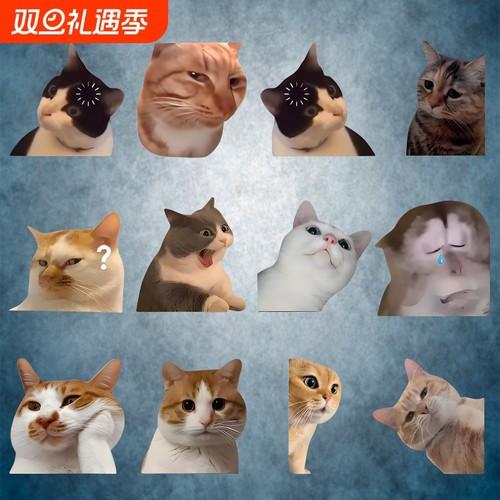 猫咪表情车身贴纸|超7000次加购