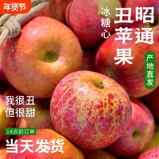 云南昭通丑苹果正宗冰糖心红富士新鲜水果应季当季整箱10斤大绍通