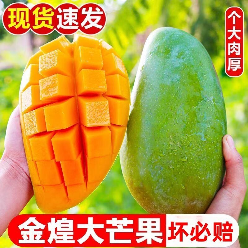 薄皮多汁新鲜金煌芒果整箱