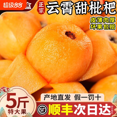 礼盒装云霄枇杷5斤大果当季新鲜现摘水果整箱琵琶批把甜顺丰源头