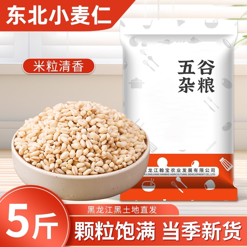 东北小麦仁新货麦仁米去皮带胚芽煮粥五谷杂粮主食粗粮糙米七色