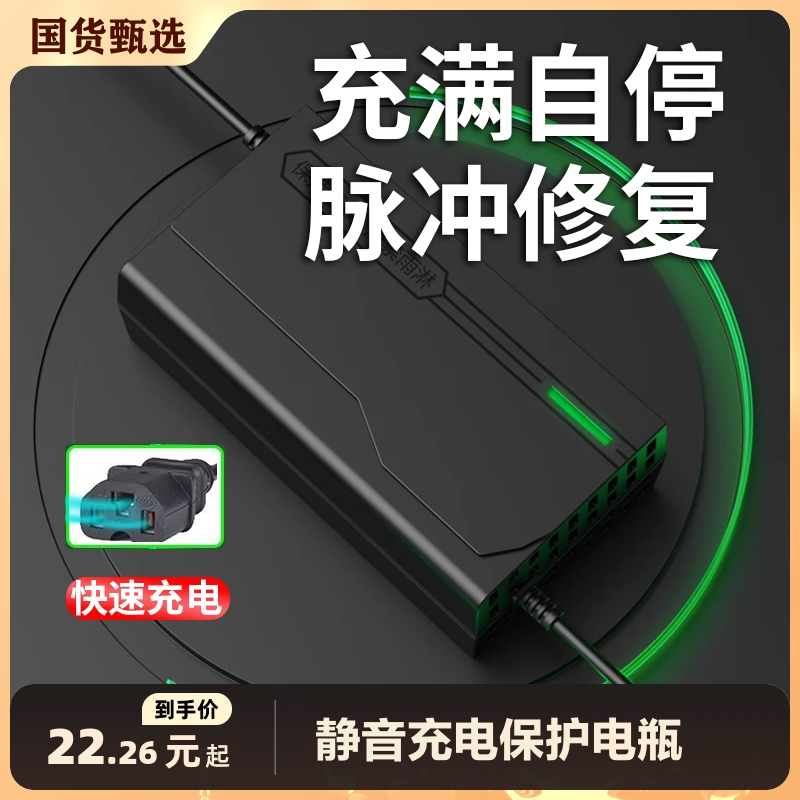 电动车电瓶充电器48V12AH20AH60V72伏爱玛雅迪台铃电车三轮车通用