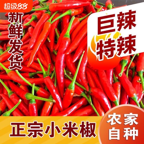 小米辣椒新鲜小米椒5斤朝天红五七彩辣椒指天椒特辣蔬菜包邮自种