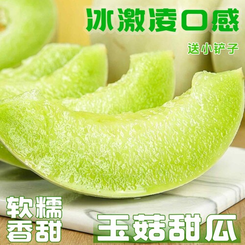 正宗山东玉菇甜瓜冰淇淋蜜瓜包邮