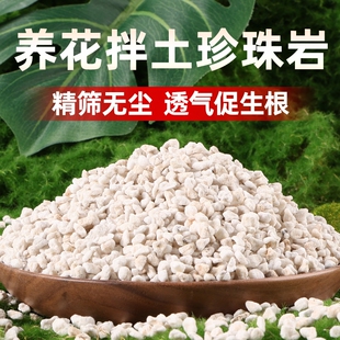 珍珠岩大颗粒养花硬质盆景专用多肉月季花用园艺营养拌土铺面蛭石