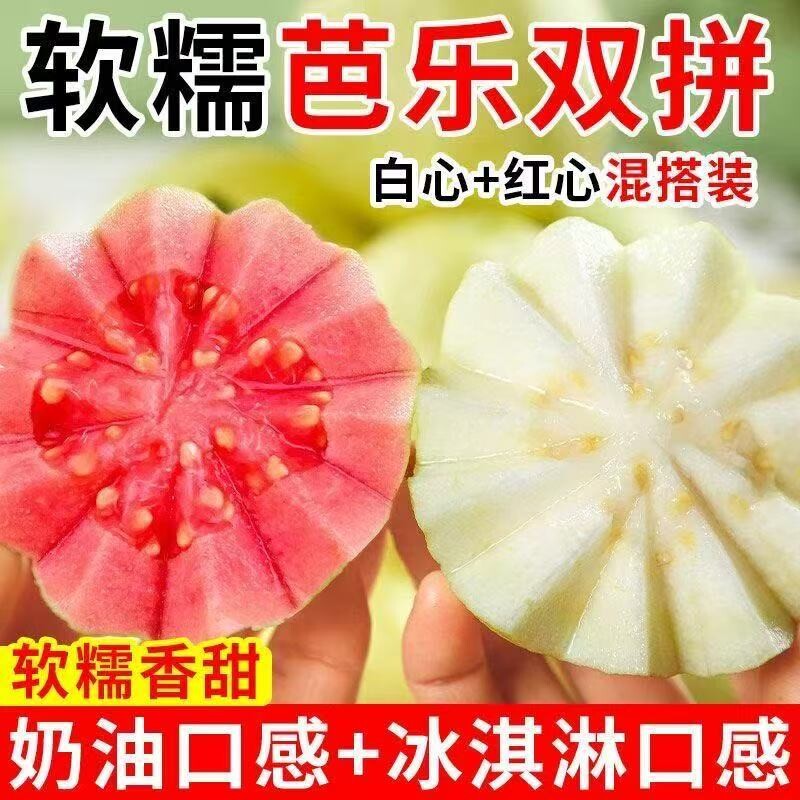 5斤正宗广东水果新鲜产地现摘芭乐软糯香甜番石榴红心低糖双拼