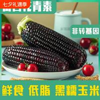 山西特产黑糯玉米真空装甜糯黏苞米