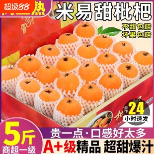 正宗攀枝花米易枇杷现摘新鲜高山当季孕妇大果水果五星琵琶阳光