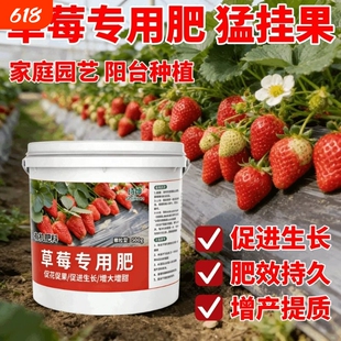 草莓专用肥营养膨果增大专用肥料生根稀释壮苗家用草莓盆栽生长期