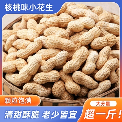 浙梅小花生500g带壳零食核桃味小吃香味休闲食品炒货特产下酒菜