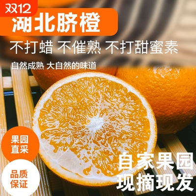 正宗湖北纽荷尔脐橙子产地直发新鲜橙子当季水果水果甜橙现摘精品