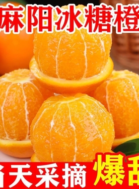 湖南麻阳冰糖橙当季新鲜水果手剥甜橙子爆甜多汁包邮带箱5/9斤