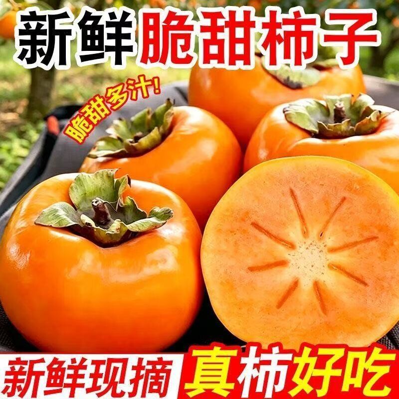 【脆柿】阳丰脆柿子【净重4.5斤】