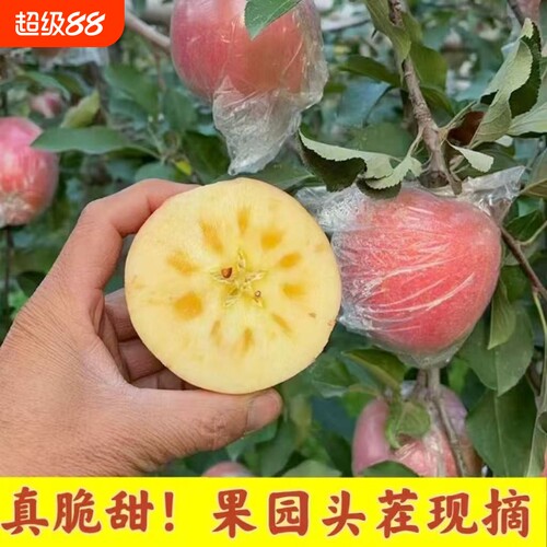 陕西红富士8.5斤苹果水果脆甜