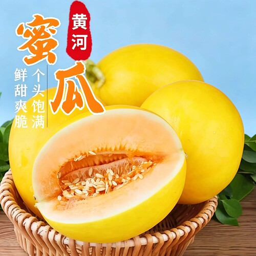 甘肃民勤黄河蜜瓜沙漠甜瓜当季新鲜水果黄金蜜瓜香瓜哈密整箱脆甜