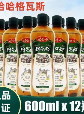娃哈哈格瓦斯600ml*12瓶大瓶面包味老式汽水碳酸饮料饮品发酵