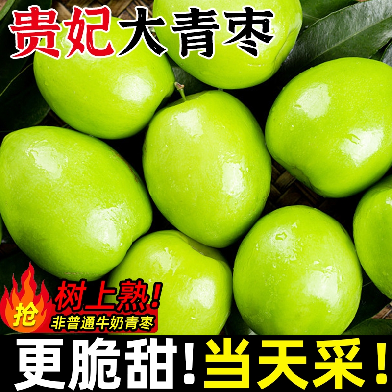 【非普通牛奶枣】福建贵妃枣大青枣牛奶新鲜水果当季整箱脆枣冬枣