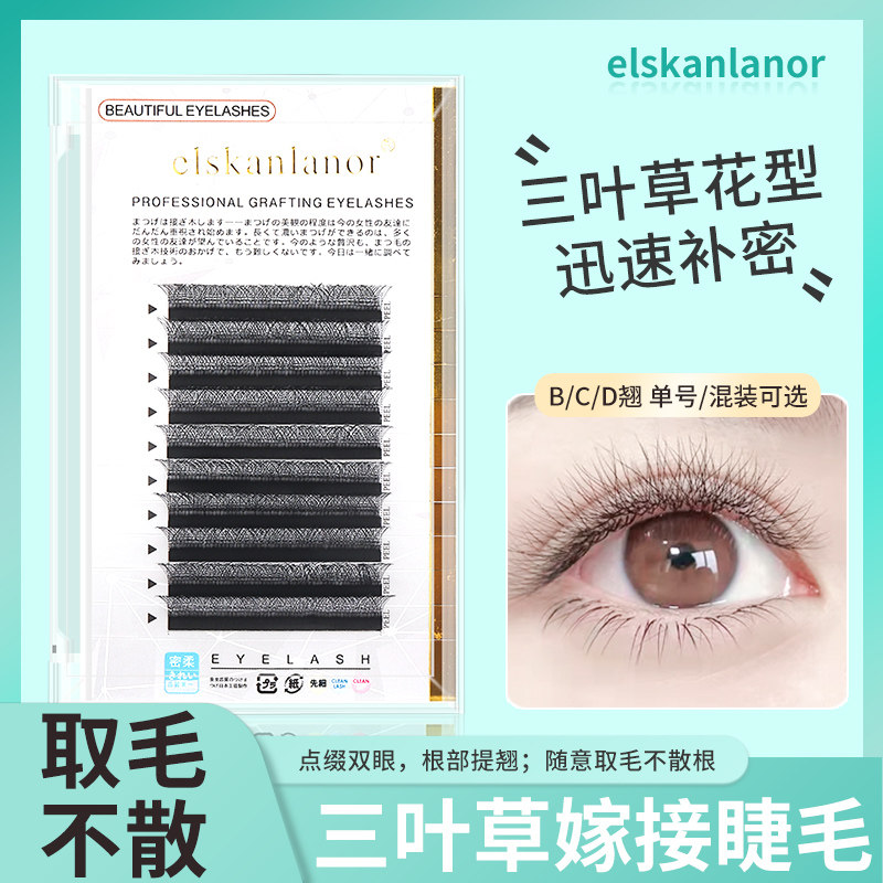 三叶草嫁接睫毛不散根图片