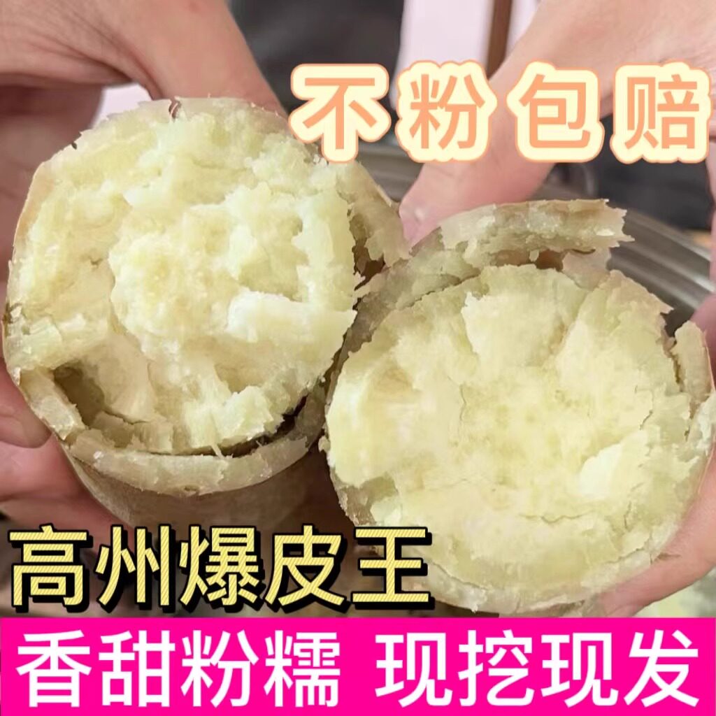 高州爆皮王番薯新鲜现挖