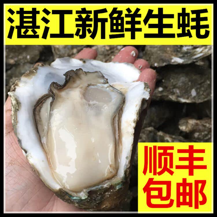 湛江生蚝5斤装顺丰包邮鲜活带壳新鲜生吃牡蛎即食海蛎子特大蚝
