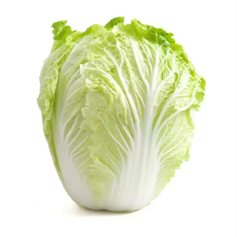 山东胶州大白菜 正宗胶州大白菜新鲜特产无公害蔬菜5斤左右 生鲜
